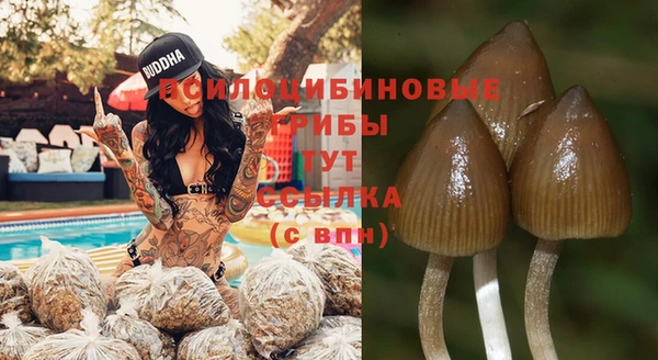 бутират Абаза